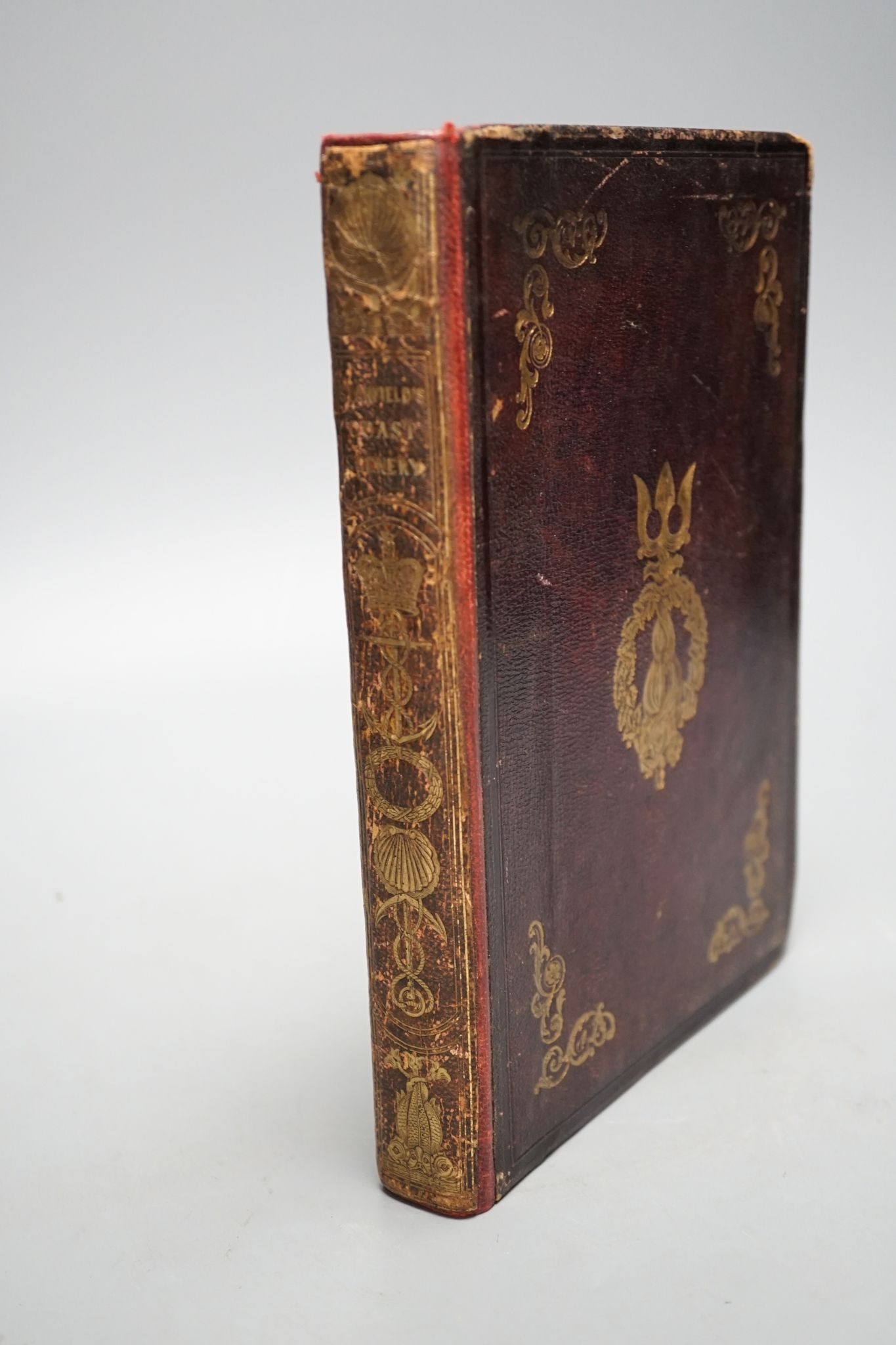 Stanfield, Clarkson - Stanfield's Coast Scenery. A series of views in the British Channel.....engraved pictorial and printed titles and 39 plates (with guards); publisher's maroon gilt decorated morocco. 1836